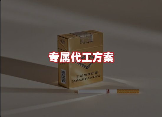 专业团队